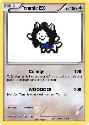 Pokemon Temmie EX