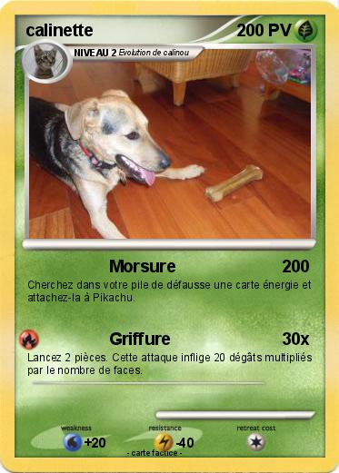Pokemon calinette