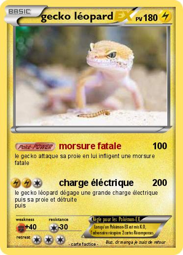 Pokemon gecko léopard