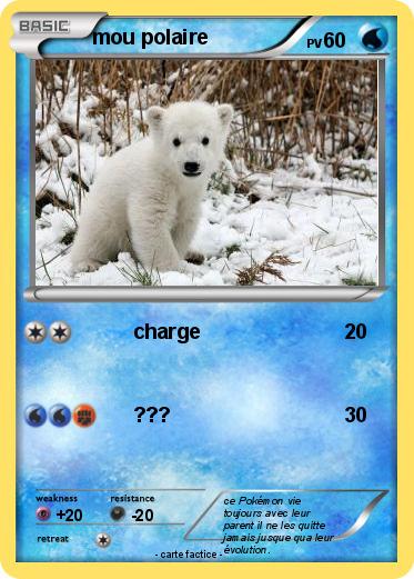 Pokemon mou polaire