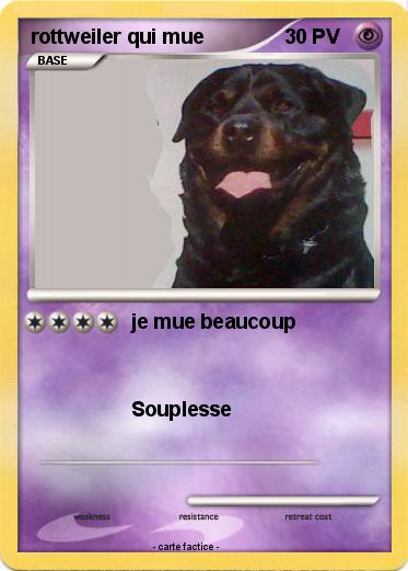 Pokemon rottweiler qui mue