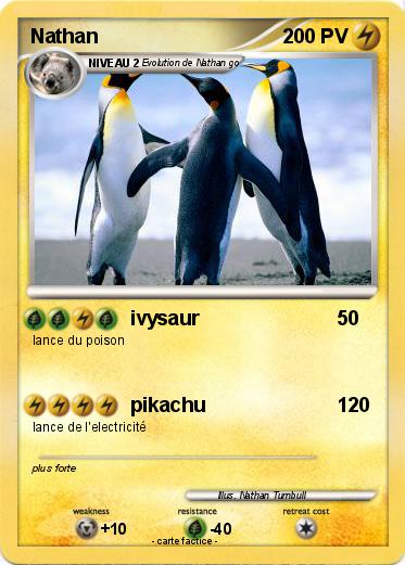 Pokemon Nathan