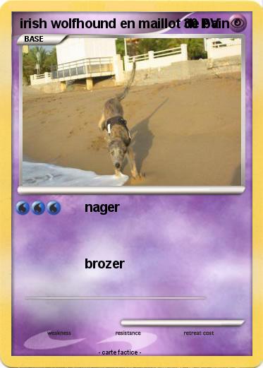 Pokemon irish wolfhound en maillot de bain