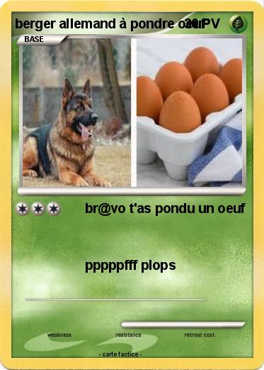 Pokemon berger allemand à pondre oeuf