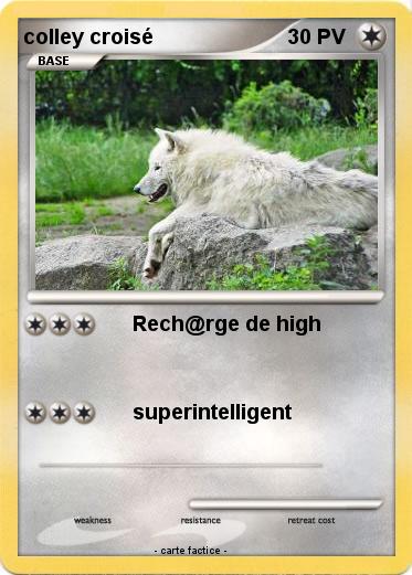 Pokemon colley croisé