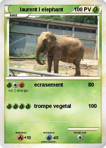 Pokemon laurent l elephant