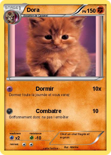 Pokemon Dora
