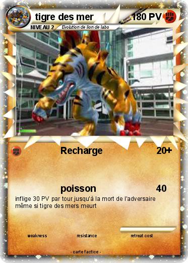 Pokemon tigre des mer