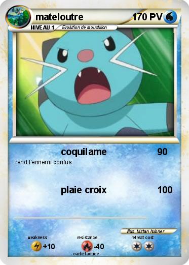 Pokemon mateloutre