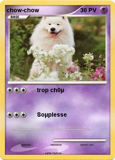 Pokemon chow-chow