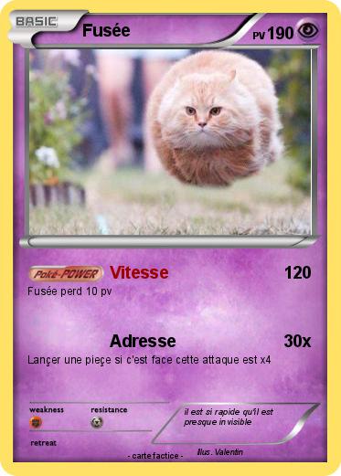 Pokemon Fusée