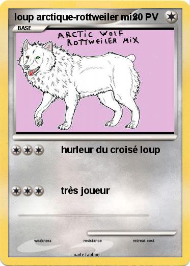 Pokemon loup arctique-rottweiler mix