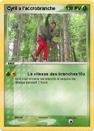 Pokemon Cyril a l'accrobranche 