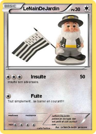 Pokemon LeNainDeJardin