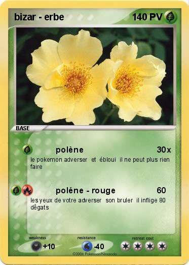 Pokemon bizar - erbe 