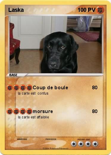 Pokemon Laska 