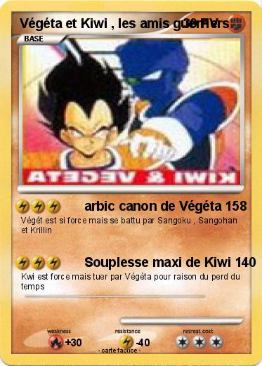 Pokemon Végéta et Kiwi , les amis guerriers