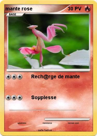 Pokemon mante rose