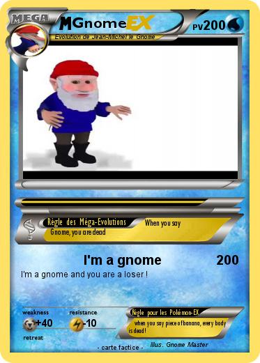 Pokemon Gnome