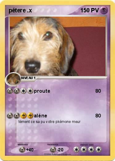 Pokemon pétere .x