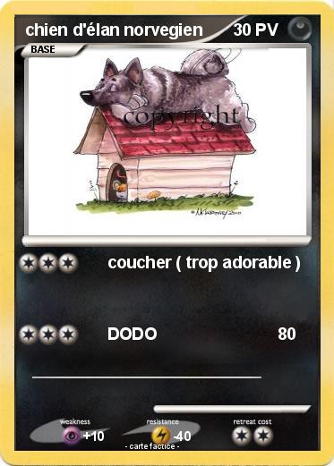 Pokemon chien d'élan norvegien
