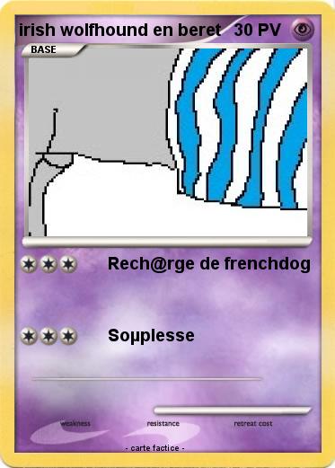 Pokemon irish wolfhound en beret