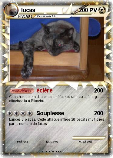 Pokemon lucas