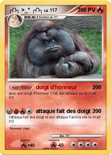 Pokemon ┌∩┐ >_° ┌∩┐