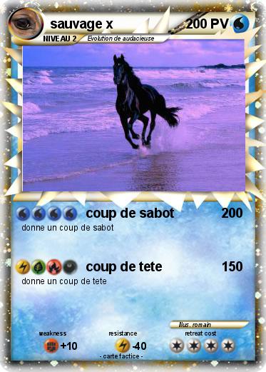 Pokemon sauvage x