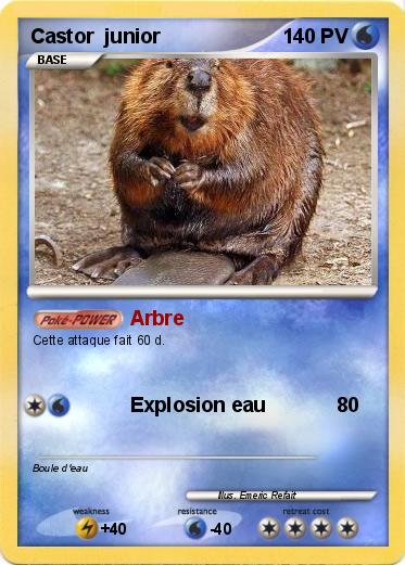 Pokemon Castor  junior