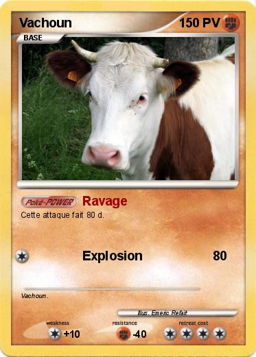 Pokemon Vachoun