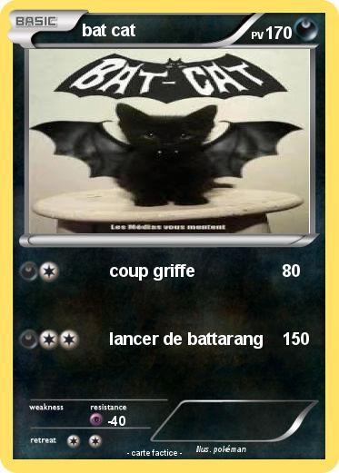 Pokemon bat cat
