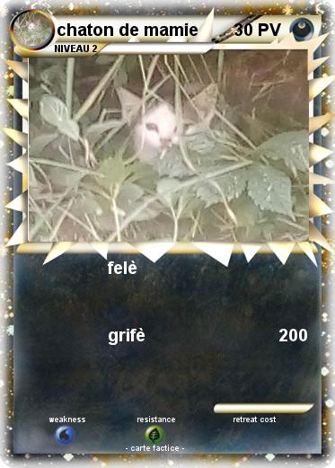 Pokemon chaton de mamie
