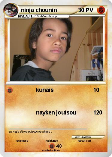 Pokemon ninja chounin