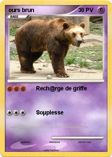 Pokemon ours brun