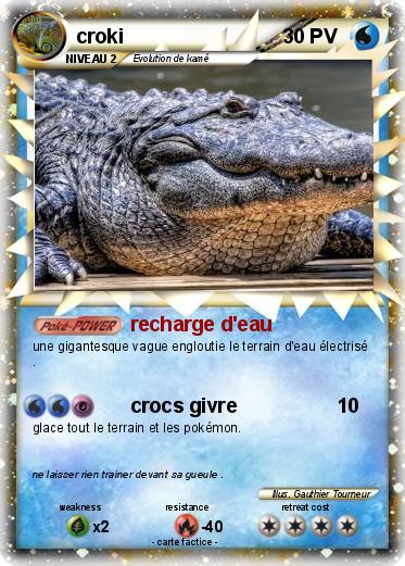 Pokemon croki