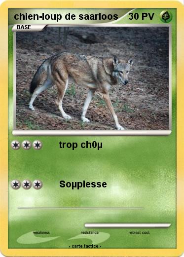 Pokemon chien-loup de saarloos