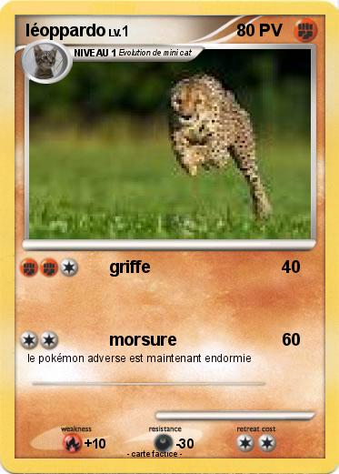 Pokemon léoppardo