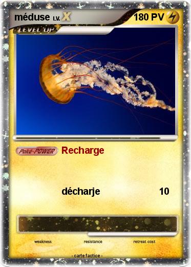 Pokemon méduse