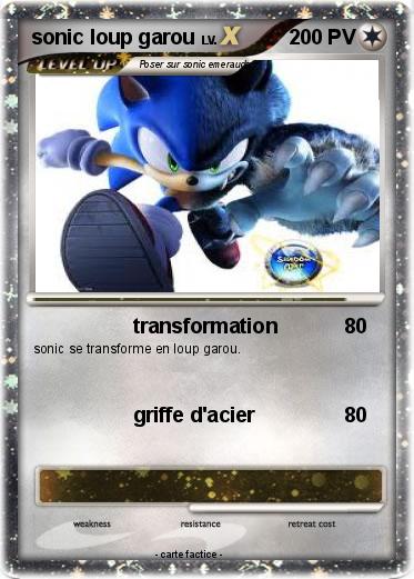 Pokemon sonic loup garou