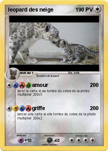 Pokemon leopard des neige