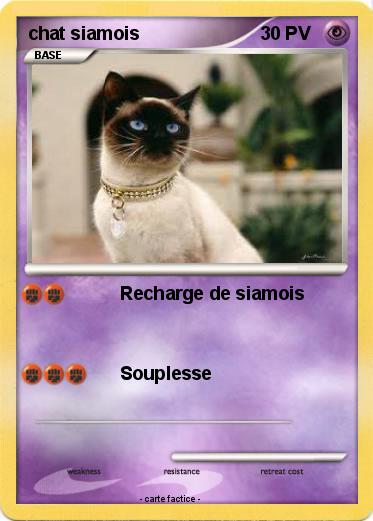 Pokemon chat siamois