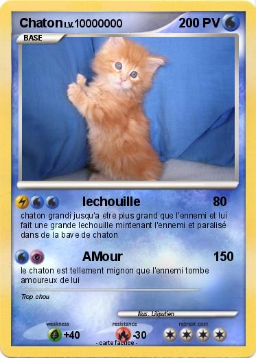 Pokemon Chaton