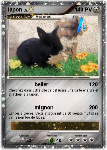 Pokemon lapon