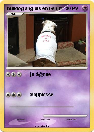 Pokemon bulldog anglais en t-shirt