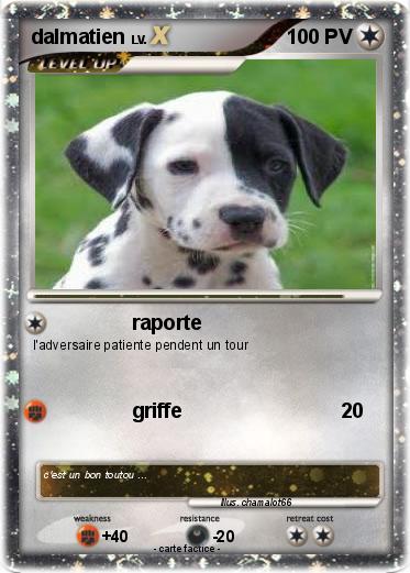 Pokemon dalmatien