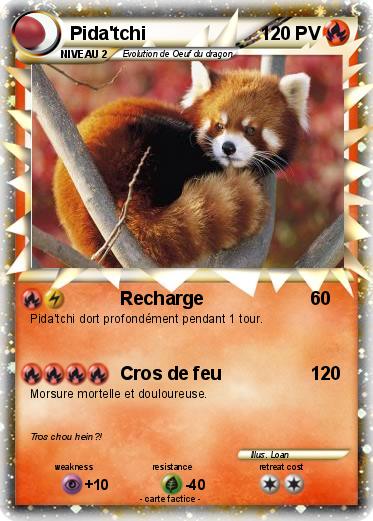 Pokemon Pida'tchi