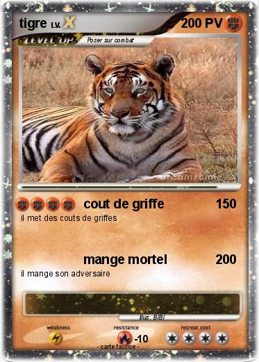 Pokemon tigre