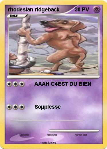 Pokemon rhodesian ridgeback