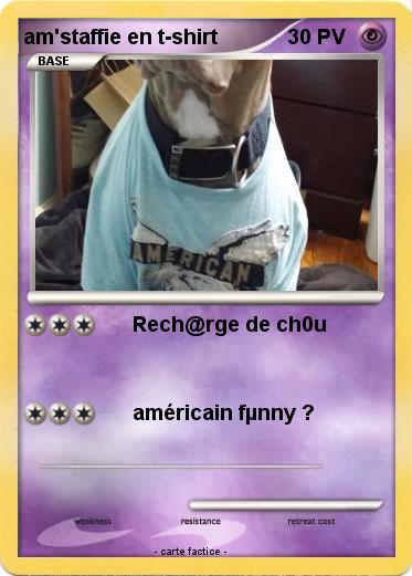 Pokemon am'staffie en t-shirt